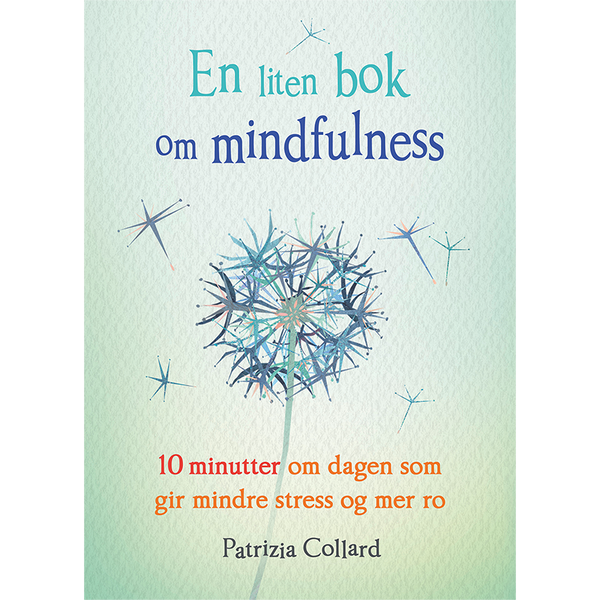 En liten bok om mindfulness