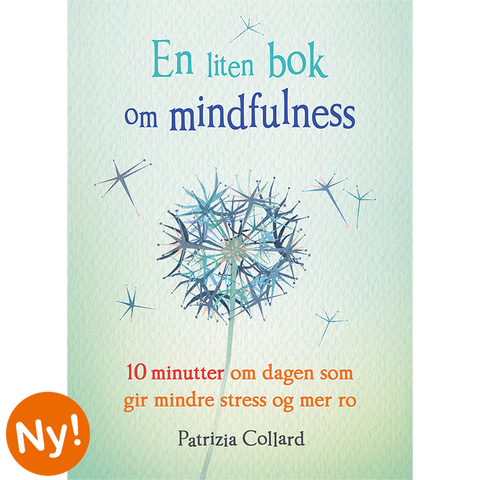 En liten bok om mindfulness