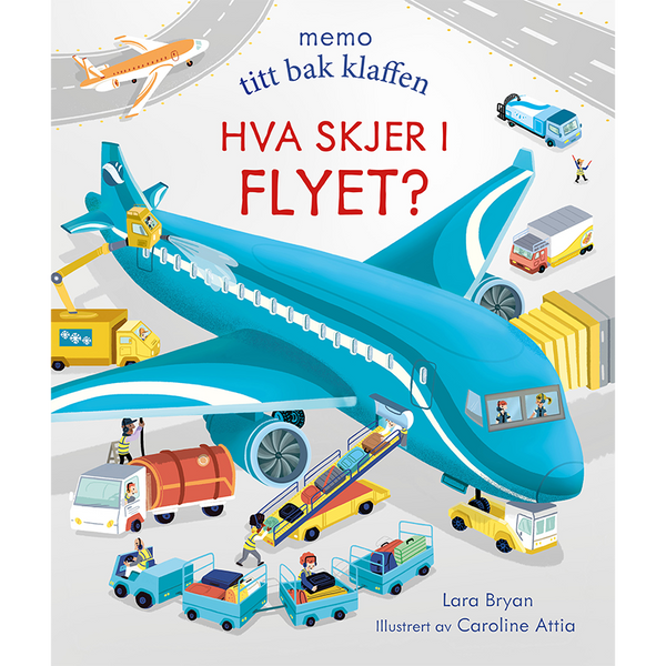 Hva skjer i flyet?
