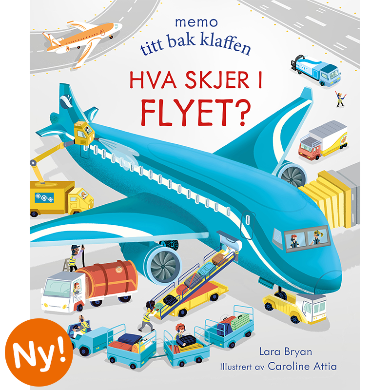 Hva skjer i flyet?