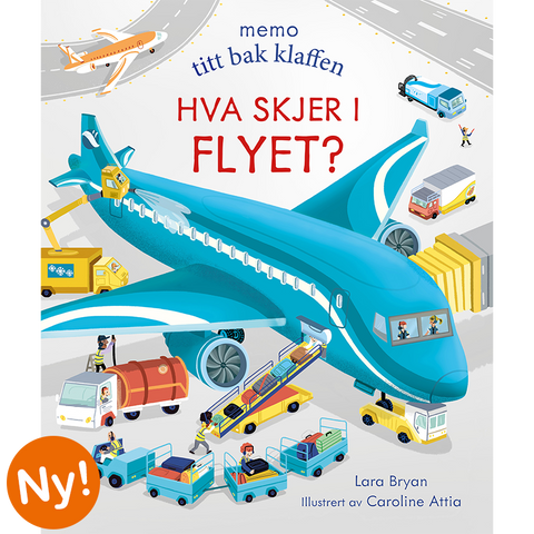 Hva skjer i flyet?